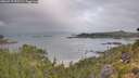 ./images/calvert/foggy-cove/20260717/foggy-cove20260717_092502M.jpg