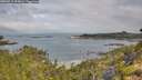 ./images/calvert/foggy-cove/20260717/foggy-cove20260717_095002M.jpg