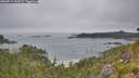 ./images/calvert/foggy-cove/20260717/foggy-cove20260717_110501M.jpg