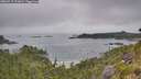 ./images/calvert/foggy-cove/20260717/foggy-cove20260717_112001M.jpg