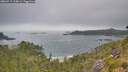 ./images/calvert/foggy-cove/20260717/foggy-cove20260717_115001M.jpg