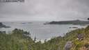 ./images/calvert/foggy-cove/20260717/foggy-cove20260717_120501M.jpg