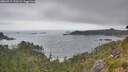 ./images/calvert/foggy-cove/20260717/foggy-cove20260717_121501M.jpg