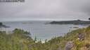 ./images/calvert/foggy-cove/20260717/foggy-cove20260717_125501M.jpg