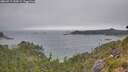 ./images/calvert/foggy-cove/20260717/foggy-cove20260717_134501M.jpg