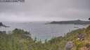./images/calvert/foggy-cove/20260717/foggy-cove20260717_143001M.jpg