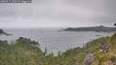 ./images/calvert/foggy-cove/20260717/foggy-cove20260717_143501M.jpg