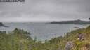 ./images/calvert/foggy-cove/20260717/foggy-cove20260717_144501M.jpg
