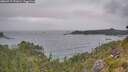 ./images/calvert/foggy-cove/20260717/foggy-cove20260717_151001M.jpg