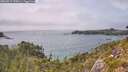 ./images/calvert/foggy-cove/20260717/foggy-cove20260717_155001M.jpg