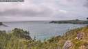 ./images/calvert/foggy-cove/20260717/foggy-cove20260717_161001M.jpg