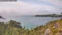 ./images/calvert/foggy-cove/20260717/foggy-cove20260717_163001M.jpg