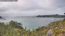 ./images/calvert/foggy-cove/20260717/foggy-cove20260717_164501M.jpg