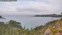 ./images/calvert/foggy-cove/20260717/foggy-cove20260717_165001M.jpg