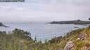 ./images/calvert/foggy-cove/20260717/foggy-cove20260717_165501M.jpg