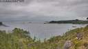./images/calvert/foggy-cove/20260717/foggy-cove20260717_173501M.jpg