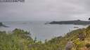 ./images/calvert/foggy-cove/20260718/foggy-cove20260718_061001M.jpg