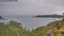./images/calvert/foggy-cove/20260718/foggy-cove20260718_061501M.jpg