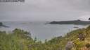 ./images/calvert/foggy-cove/20260718/foggy-cove20260718_062002M.jpg