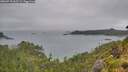 ./images/calvert/foggy-cove/20260718/foggy-cove20260718_062501M.jpg