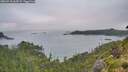 ./images/calvert/foggy-cove/20260718/foggy-cove20260718_063501M.jpg