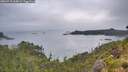 ./images/calvert/foggy-cove/20260718/foggy-cove20260718_065001M.jpg