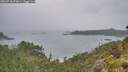 ./images/calvert/foggy-cove/20260718/foggy-cove20260718_073001M.jpg