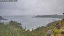 ./images/calvert/foggy-cove/20260718/foggy-cove20260718_082501M.jpg