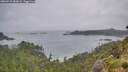 ./images/calvert/foggy-cove/20260718/foggy-cove20260718_083001M.jpg