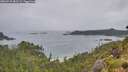 ./images/calvert/foggy-cove/20260718/foggy-cove20260718_083501M.jpg