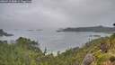 ./images/calvert/foggy-cove/20260718/foggy-cove20260718_084001M.jpg