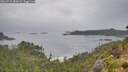 ./images/calvert/foggy-cove/20260718/foggy-cove20260718_084501M.jpg