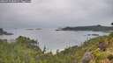 ./images/calvert/foggy-cove/20260718/foggy-cove20260718_085001M.jpg