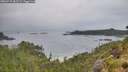./images/calvert/foggy-cove/20260718/foggy-cove20260718_085501M.jpg