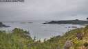 ./images/calvert/foggy-cove/20260718/foggy-cove20260718_090001M.jpg