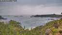 ./images/calvert/foggy-cove/20260718/foggy-cove20260718_091001M.jpg