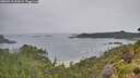 ./images/calvert/foggy-cove/20260718/foggy-cove20260718_092002M.jpg