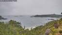 ./images/calvert/foggy-cove/20260718/foggy-cove20260718_092501M.jpg