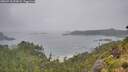 ./images/calvert/foggy-cove/20260718/foggy-cove20260718_093001M.jpg