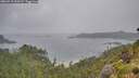 ./images/calvert/foggy-cove/20260718/foggy-cove20260718_093501M.jpg