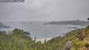 ./images/calvert/foggy-cove/20260718/foggy-cove20260718_094001M.jpg