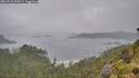 ./images/calvert/foggy-cove/20260718/foggy-cove20260718_094502M.jpg
