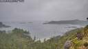 ./images/calvert/foggy-cove/20260718/foggy-cove20260718_095501M.jpg