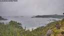 ./images/calvert/foggy-cove/20260718/foggy-cove20260718_100501M.jpg
