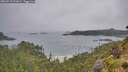 ./images/calvert/foggy-cove/20260718/foggy-cove20260718_101002M.jpg