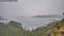 ./images/calvert/foggy-cove/20260718/foggy-cove20260718_103501M.jpg