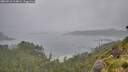 ./images/calvert/foggy-cove/20260718/foggy-cove20260718_104002M.jpg