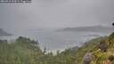 ./images/calvert/foggy-cove/20260718/foggy-cove20260718_104501M.jpg