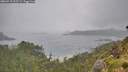 ./images/calvert/foggy-cove/20260718/foggy-cove20260718_105501M.jpg