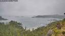 ./images/calvert/foggy-cove/20260718/foggy-cove20260718_110501M.jpg